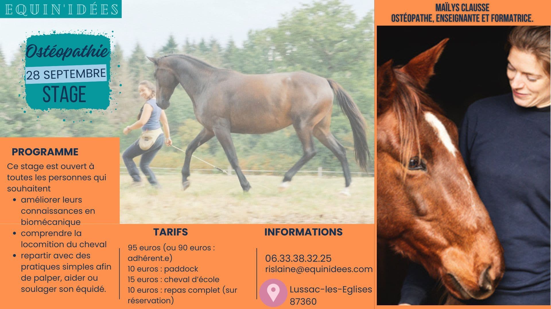 Aperçu d'un stage Equin'Idées
